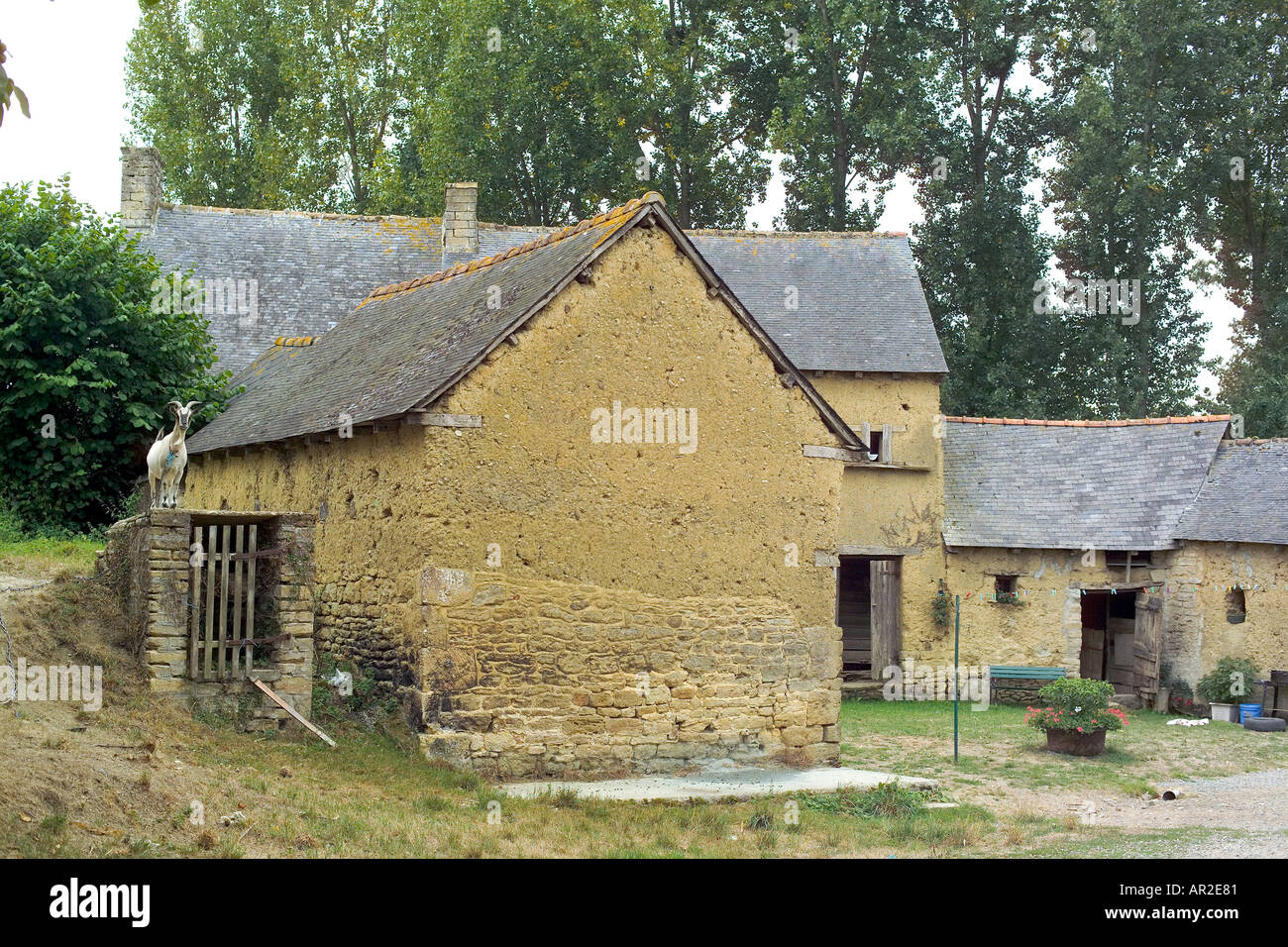 Houses built with earth, "Le Bas Caharel" hamlet, Saint-Juvat, Brittany, France Stock Photo