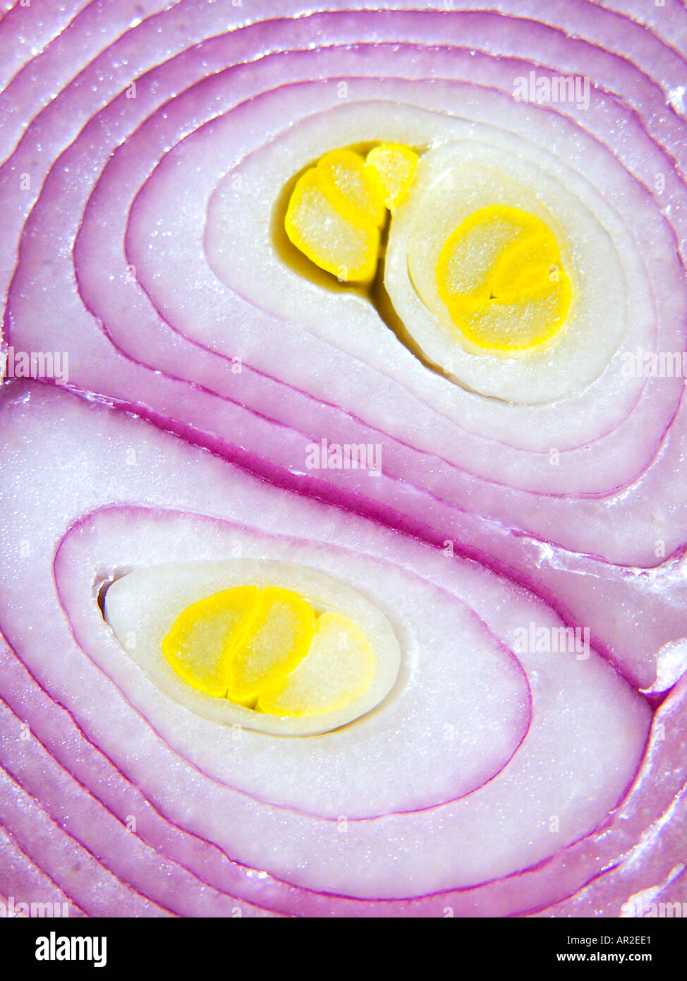 Textures of onion hi-res stock photography and images - Alamy