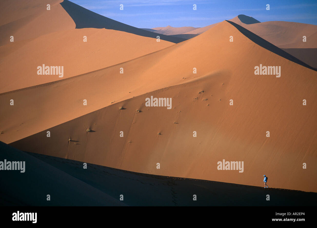 Dunes At Sossus Namib Desert Namibia Stock Photo Alamy