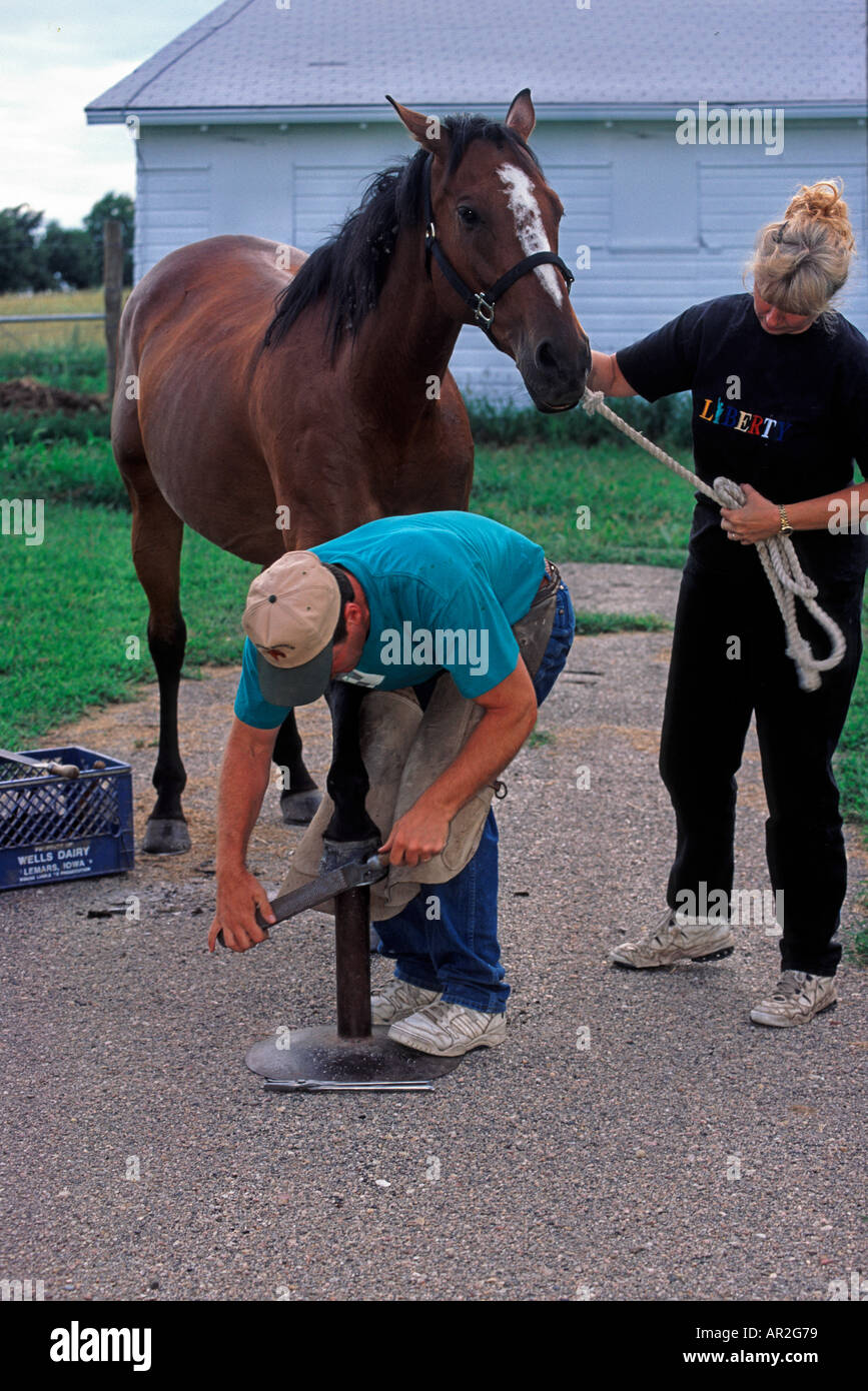 Horse being shod by farrier Horse owner helping out by holding on to