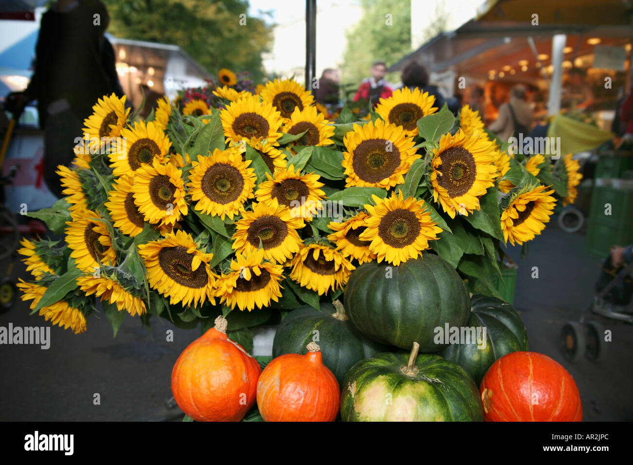 Sunflowers and pumpkins at market stall Stock Photo - Alamy