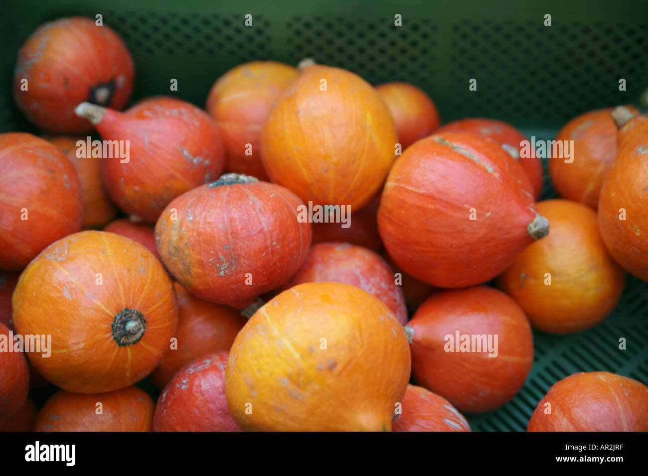 Pile of pumpkins in crate Stock Photo - Alamy