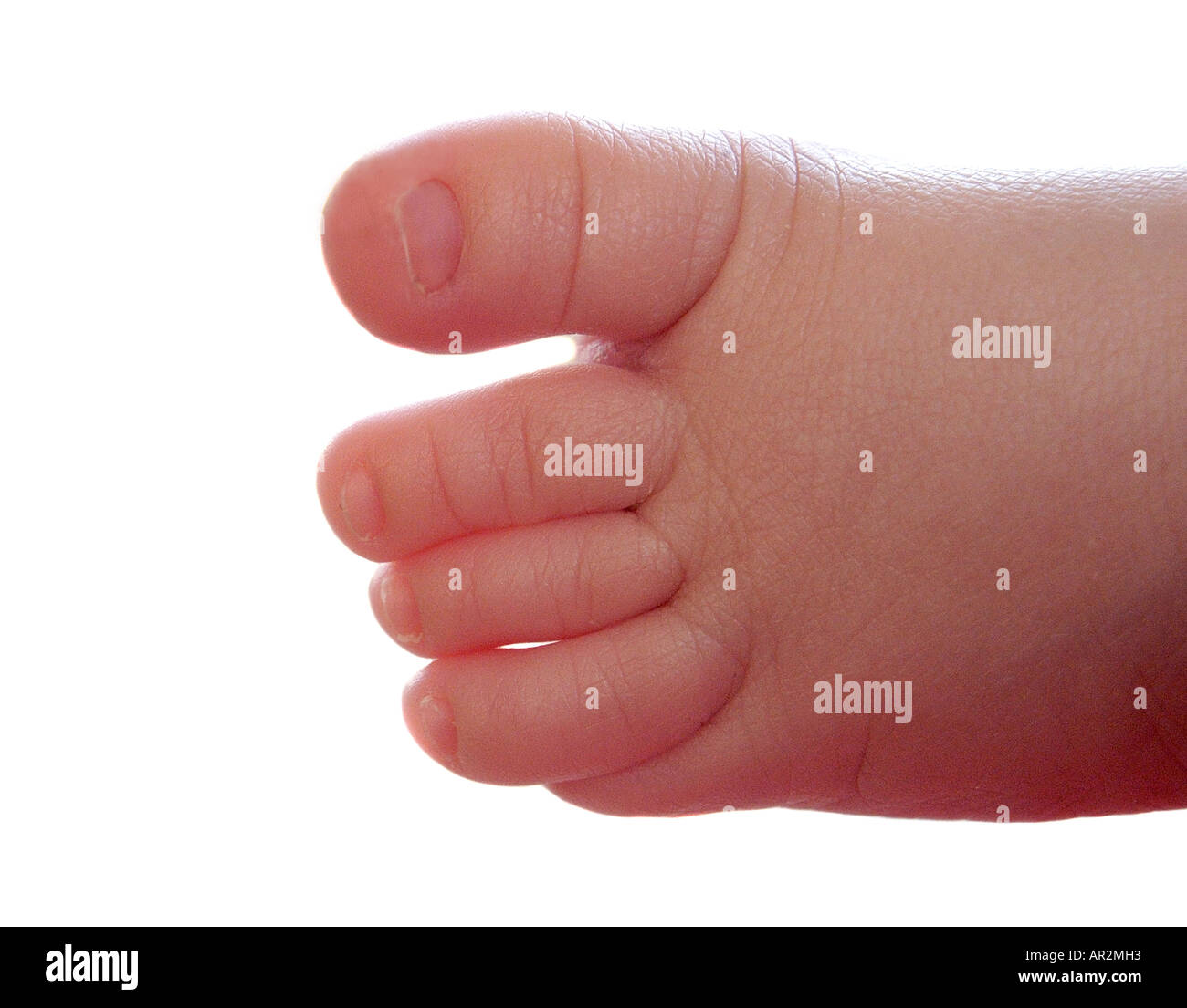 Baby boy leg and feet Stock Photo Alamy