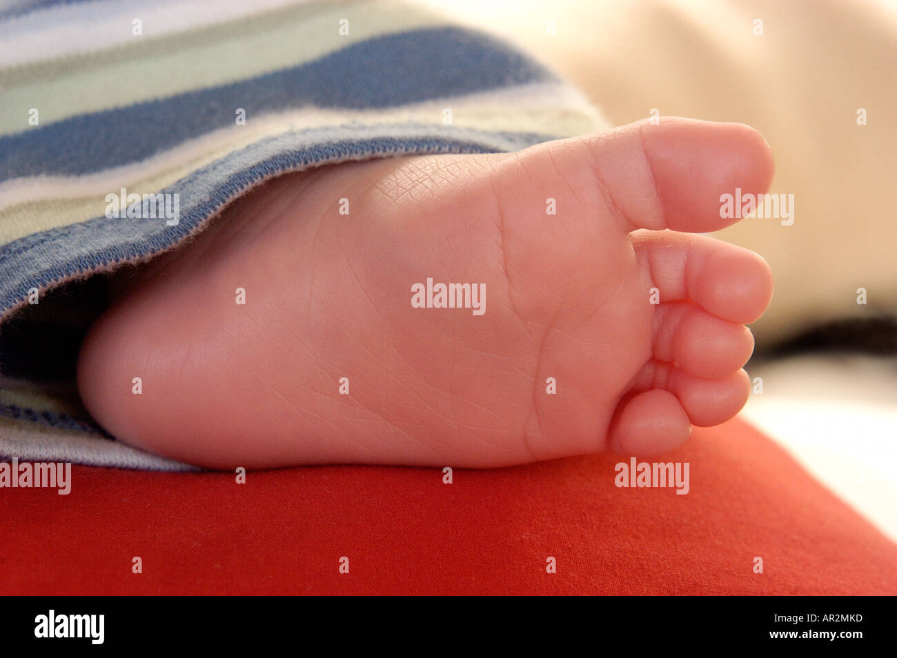Baby boy leg and feet Stock Photo Alamy