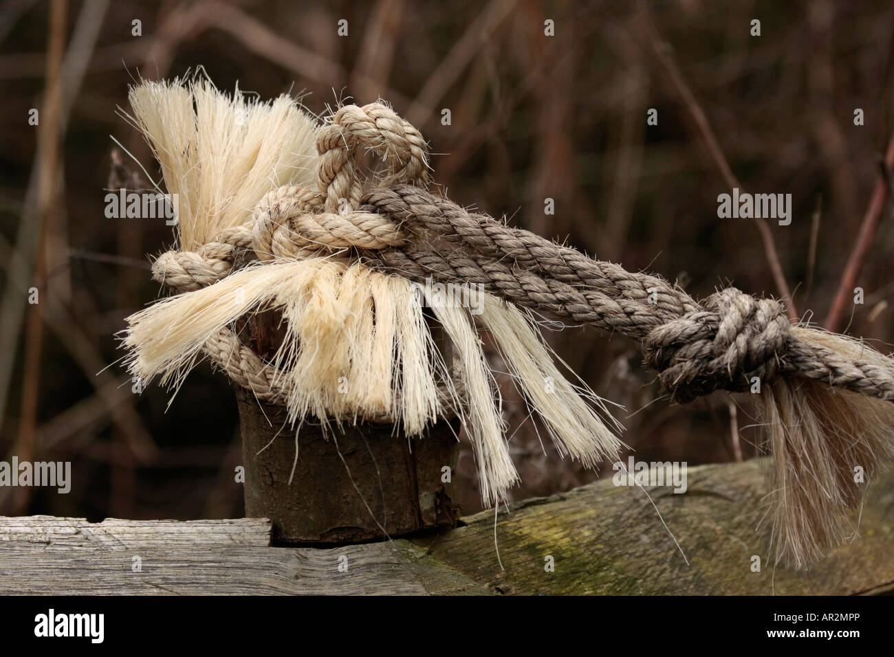 Rope tied to wooden fence post to strengthen it Stock Photo