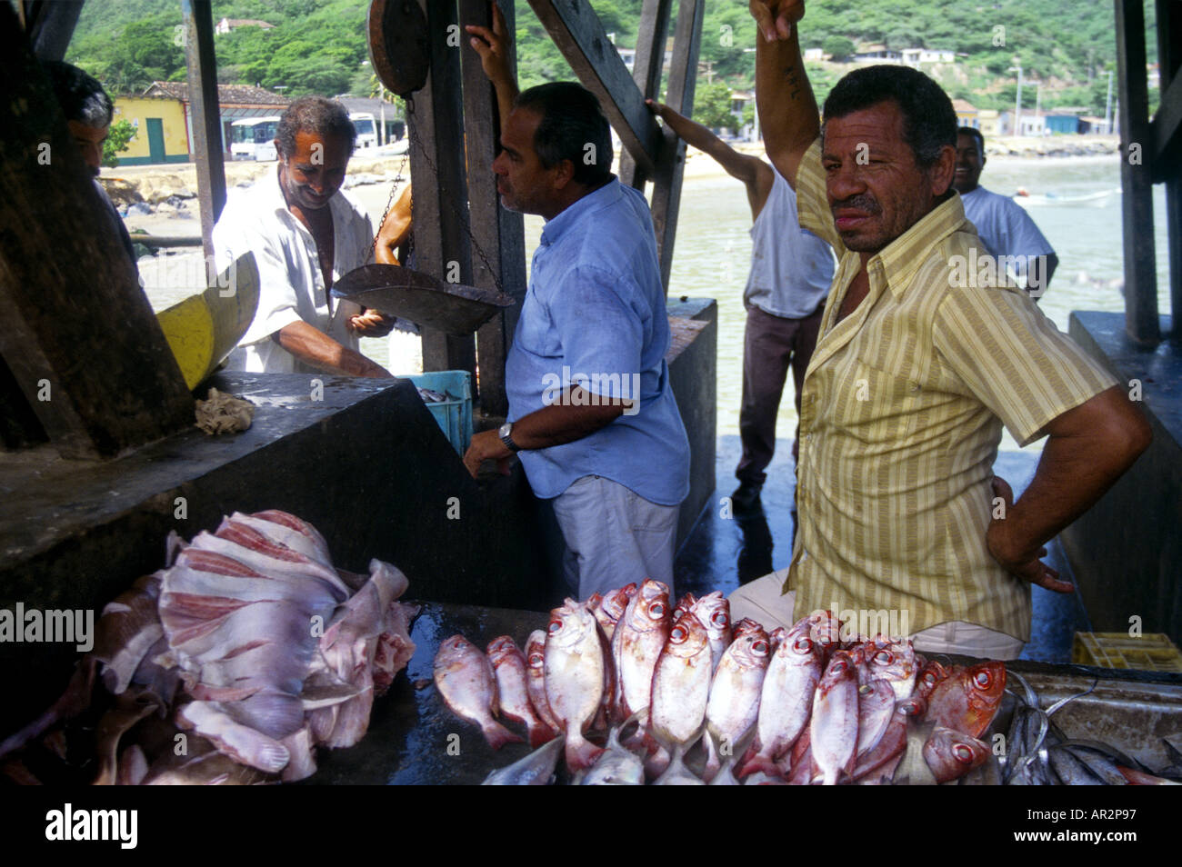 Fish stall at port in Rio Caribe, Paria Peninsula, Venezuela Stock