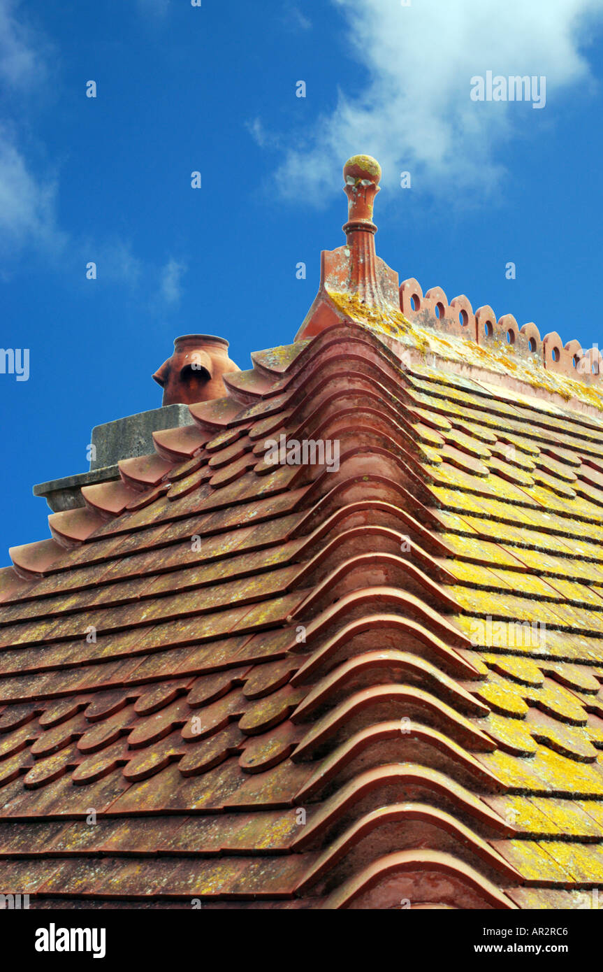 ROOF TOP Stock Photo