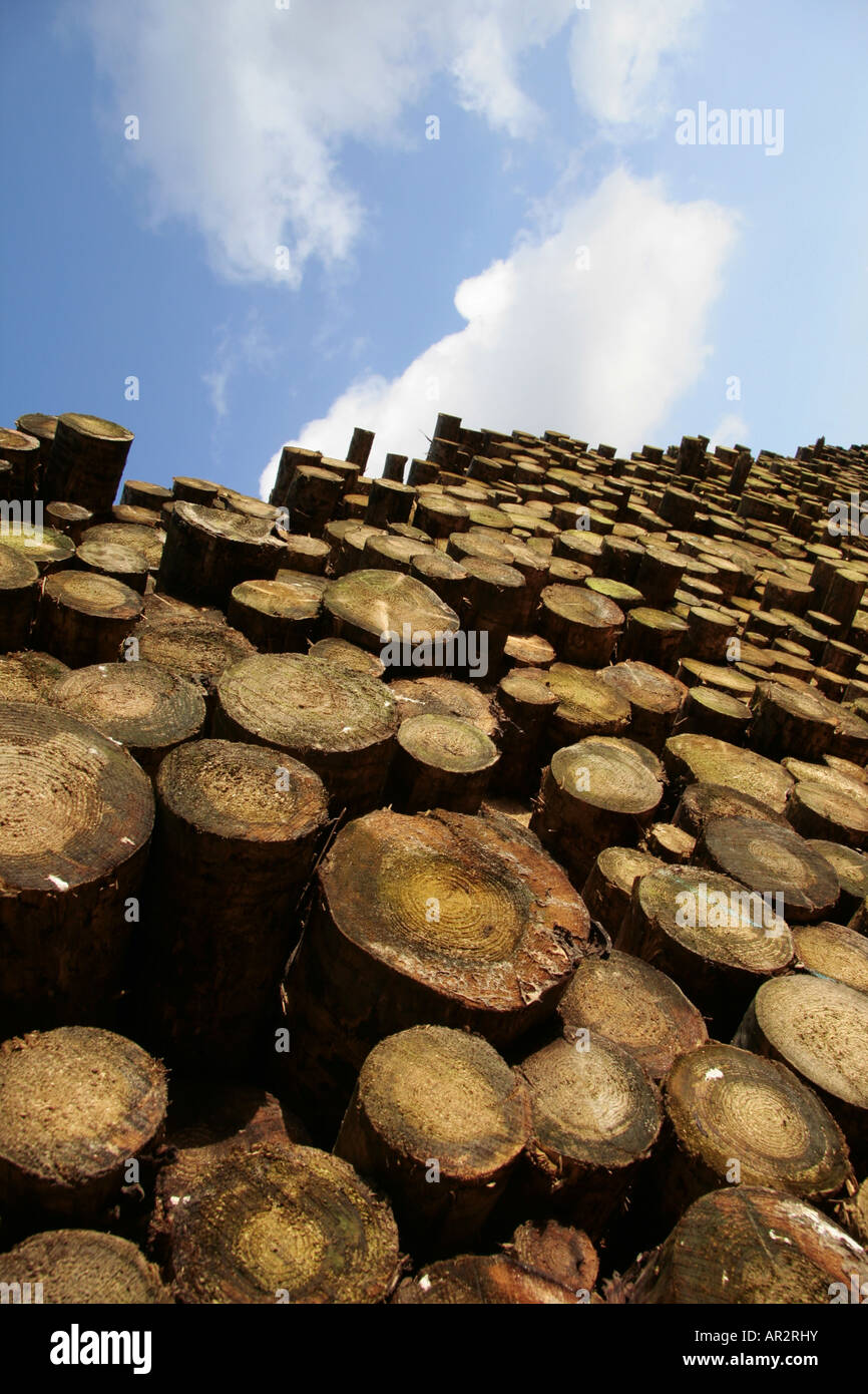 Vertical habitat pile hi-res stock photography and images - Alamy