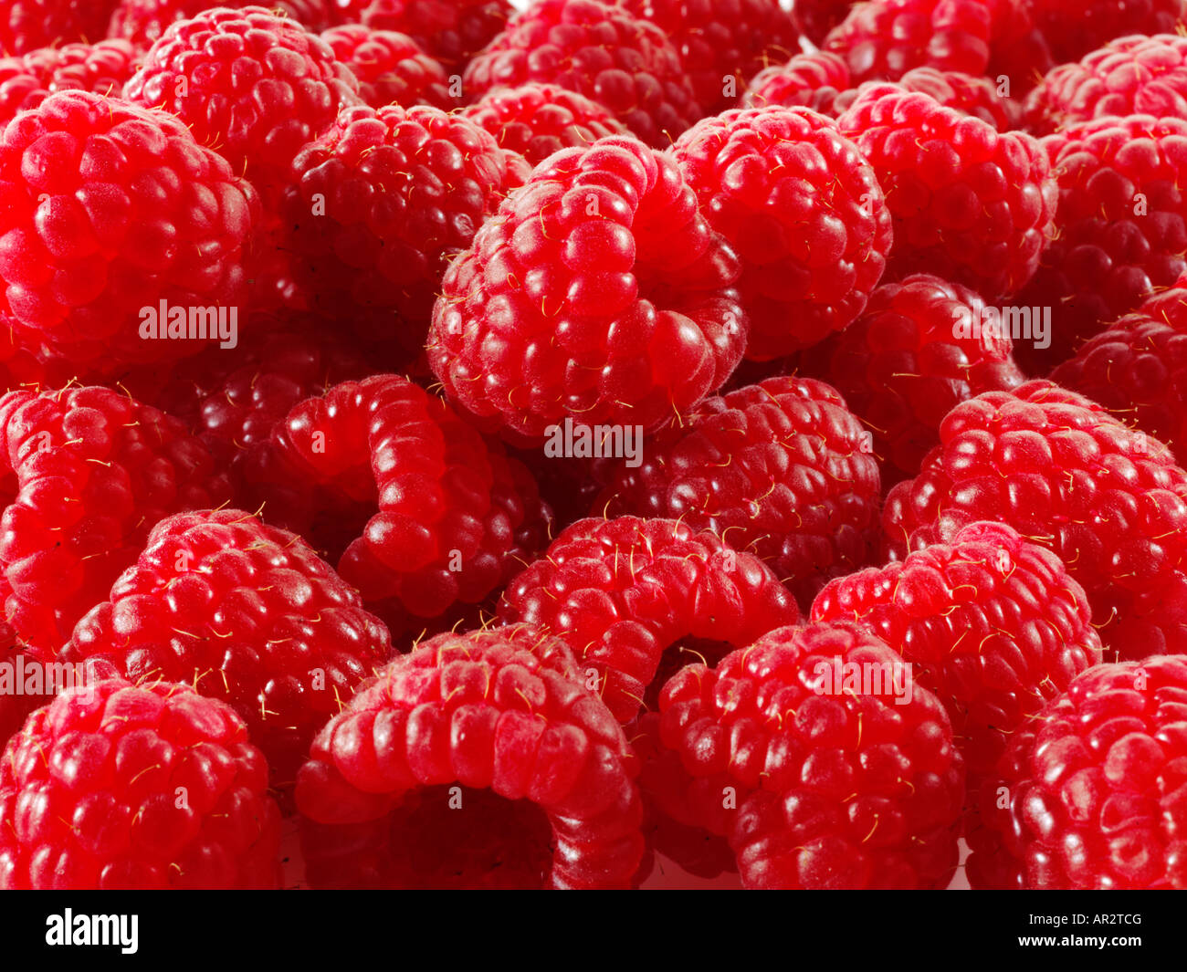 close up of fresh Raspberries filling frame Stock Photo