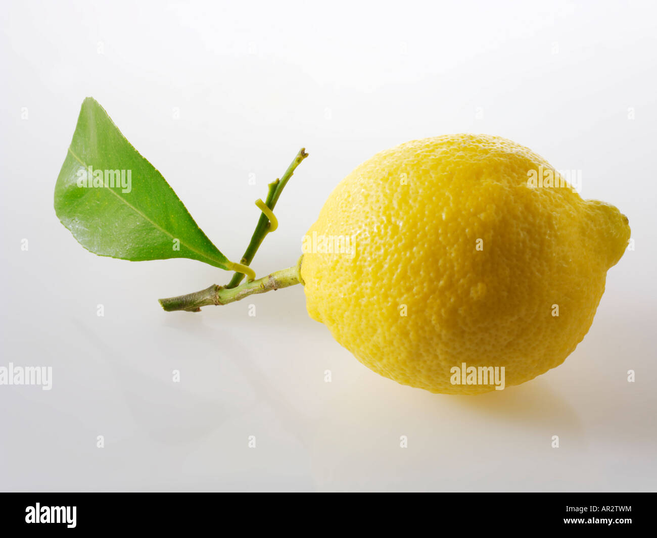 Whole uncut Lemon with leaf Stock Photo