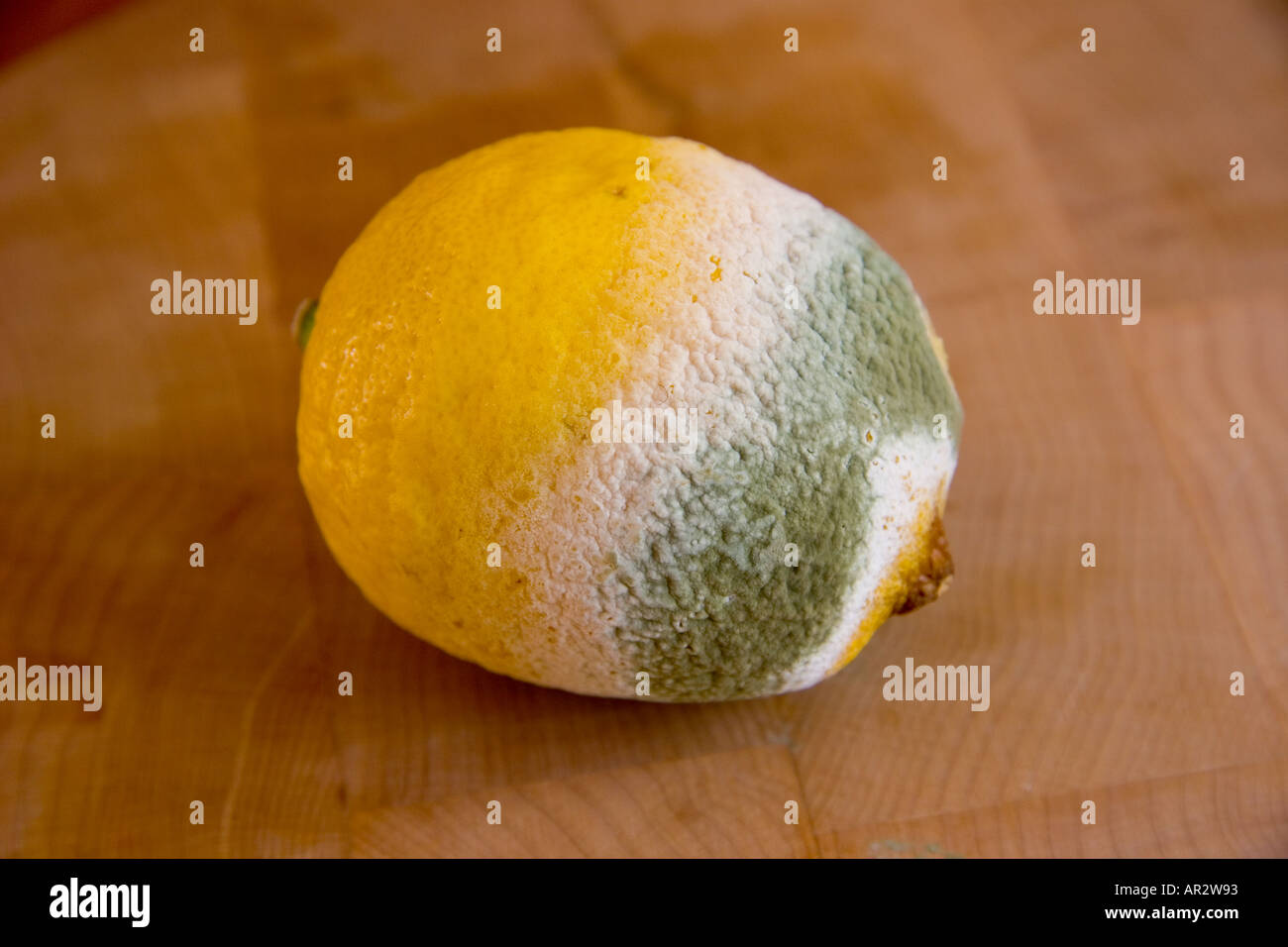 Mouldy Lemon Stock Photos & Mouldy Lemon Stock Images Alamy