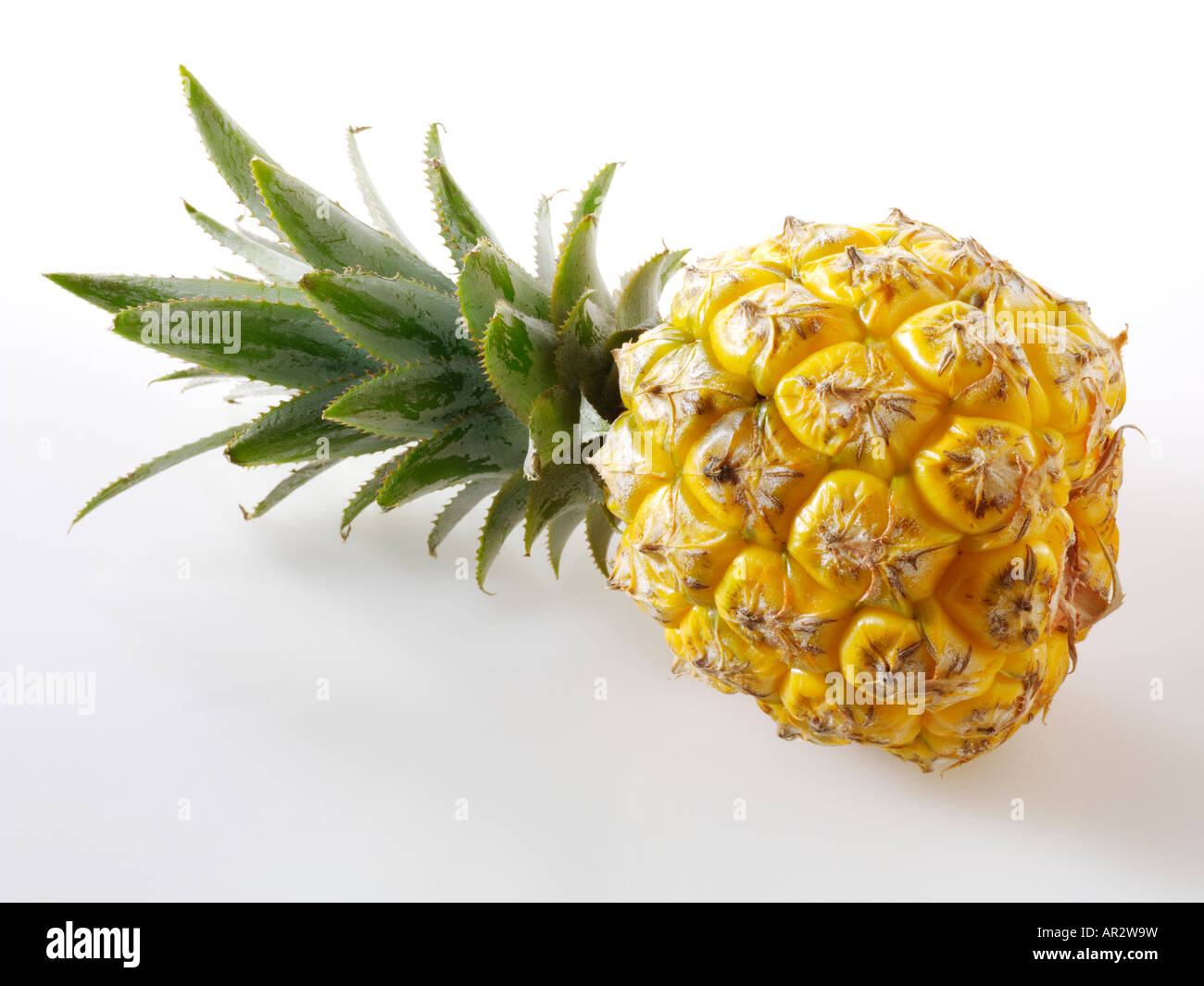 pineapple uncut with leaves Stock Photo