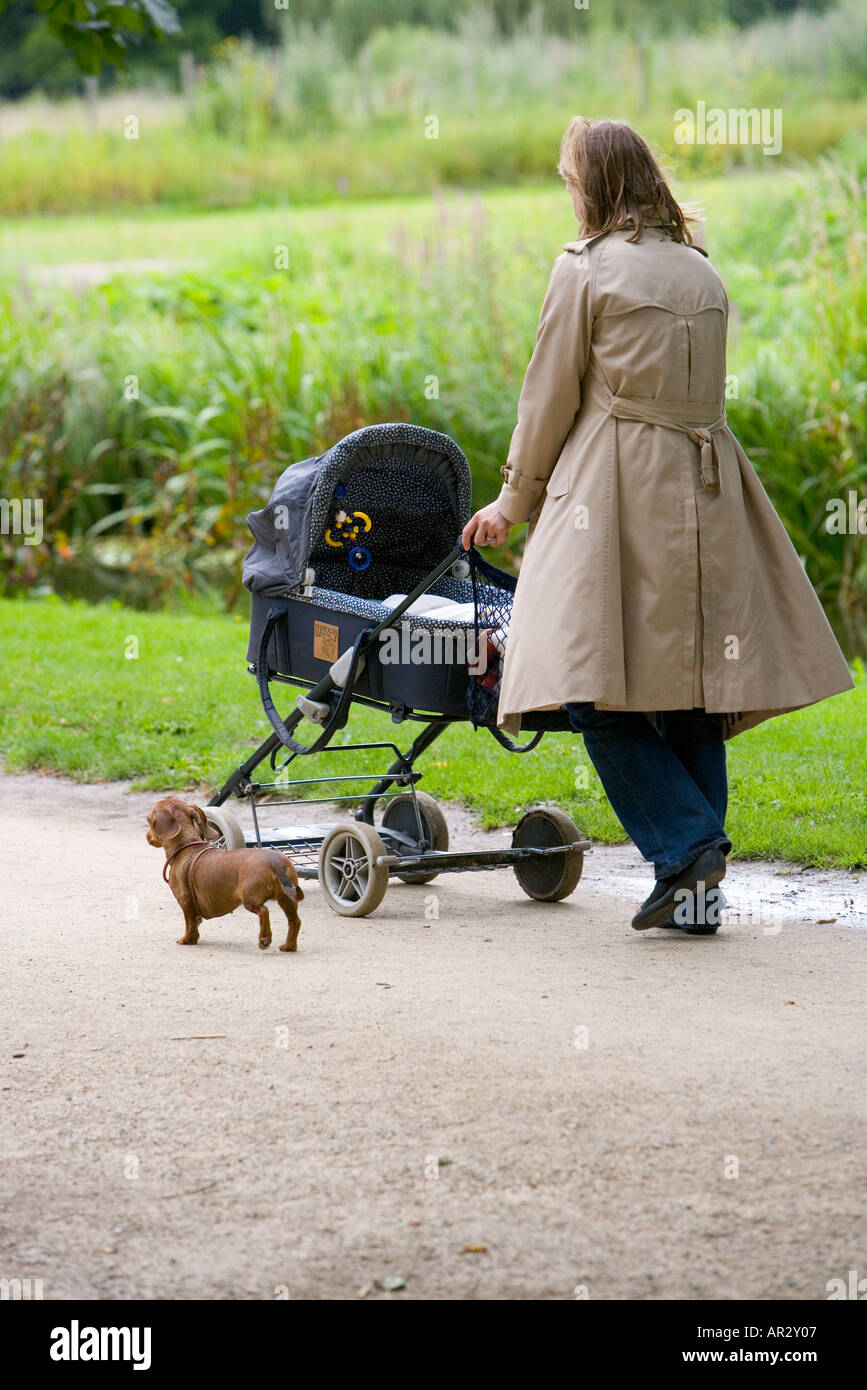 HOLLAND AMSTERDAM VONDEL PARK WOMAN PUSHING A PRAM AND WALKING HER DOG Stock Photo