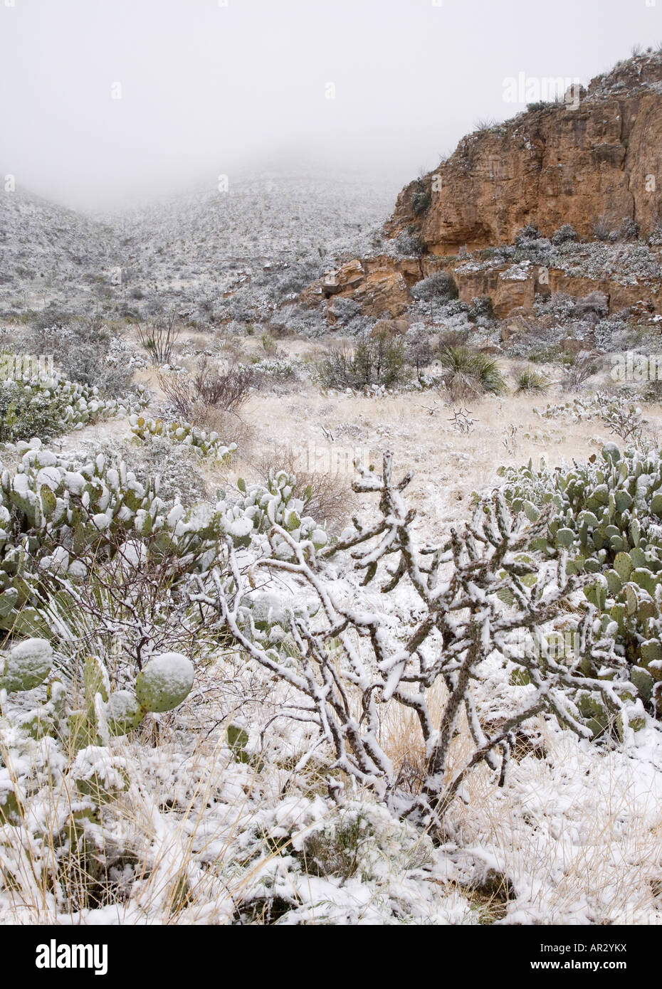 snow in Walnut Canyon, Carlsbad Caverns National Park, New Mexico USA Stock Photo