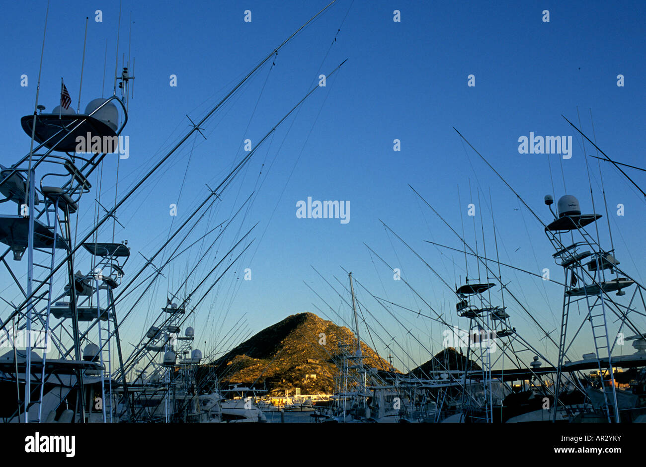 Los cabo marlin hi-res stock photography and images - Alamy