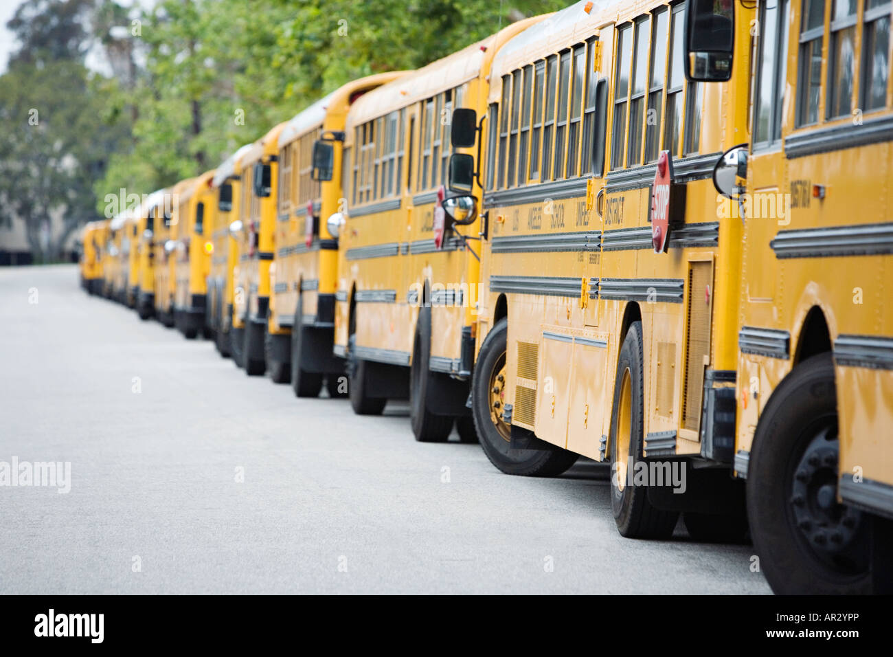 Yellow school buses lined in a row Stock Photo Alamy