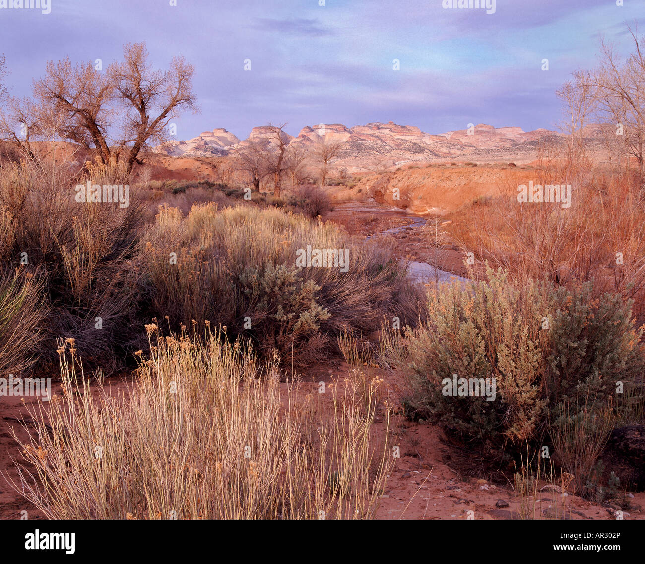 Pleasant Creek with Capitol Reef in the distance, Capitol Reef National Park, Utah USA Stock Photo