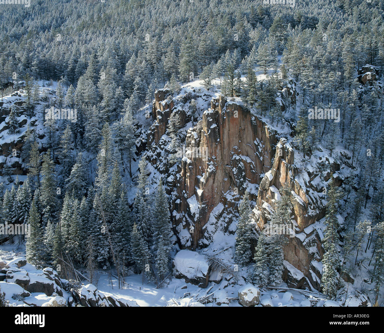 cliff in Shell Canyon, Bighorn National Forest, Wyoming USA Stock Photo