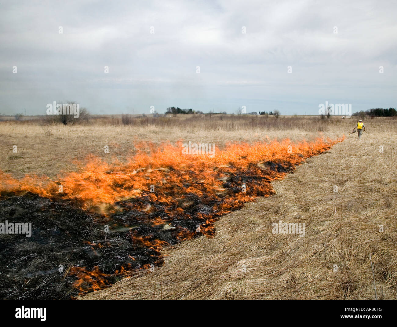 lighting the full burn during a controlled burn of a native prairie, Howard County, Iowa USA Stock Photo