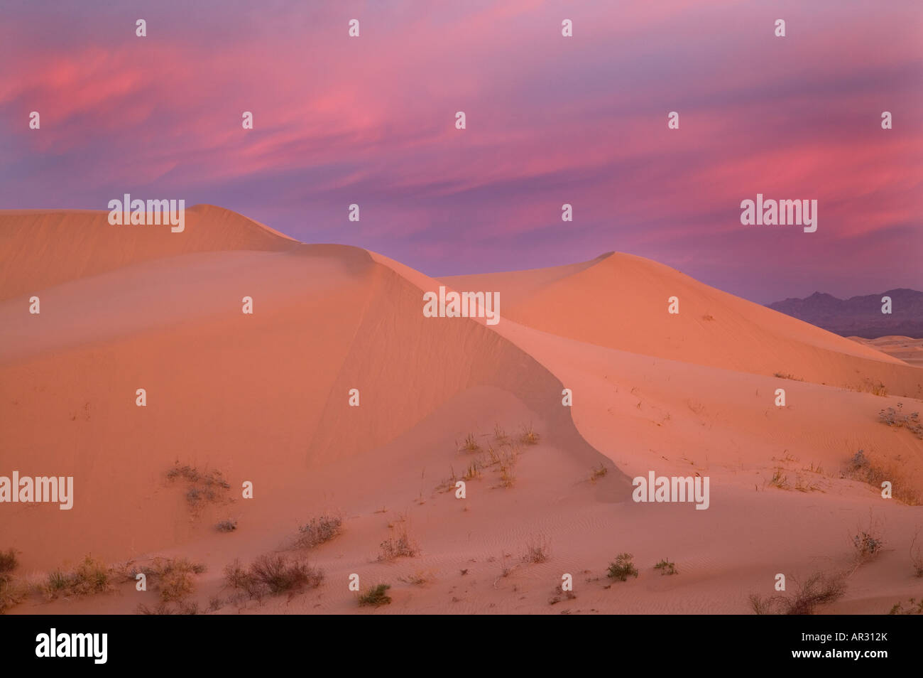 Imperial Sand Dunes, North Algodones Wilderness, California USA Stock Photo