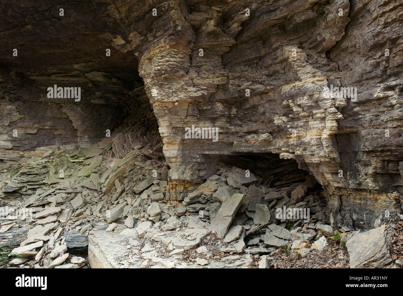 limestone wall of canyon, Iowa USA Stock Photo Alamy