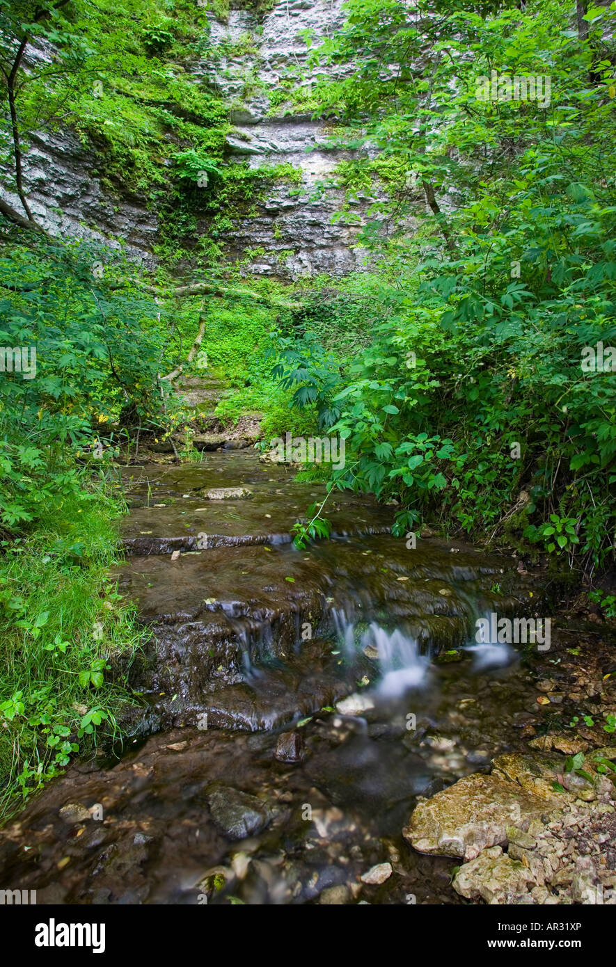 cold water spring along the Upper Iowa River, Bluffton Fir Stand State