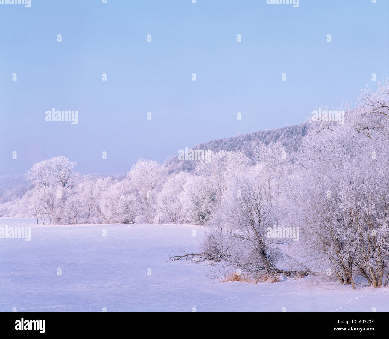 floodplain of the Upper Iowa River, Decorah, Iowa USA Stock Photo