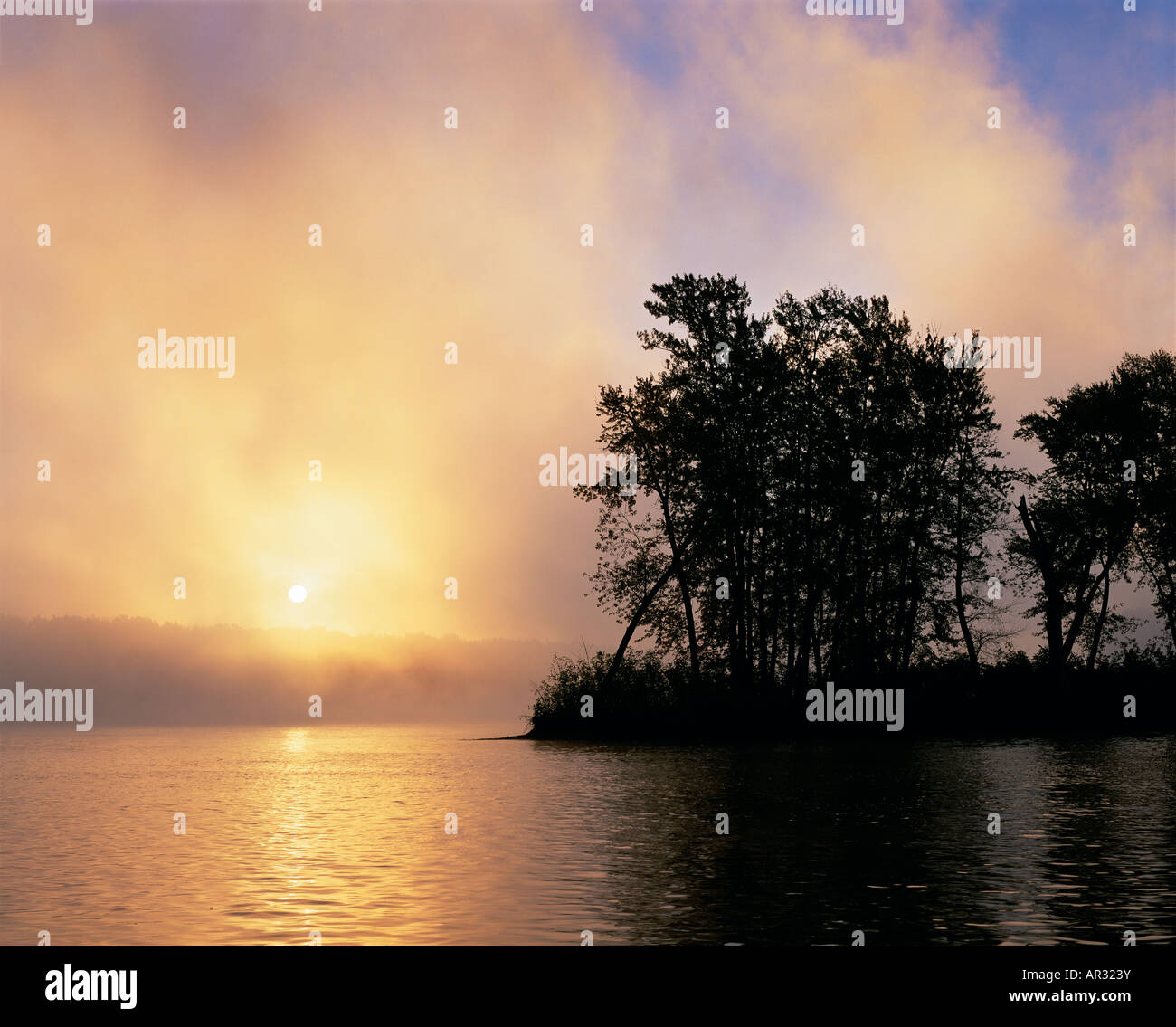 sunrise through fog, Mississippi River, North Marquette Access, Upper Mississippi River National Fish and Wildlife Refuge, Iowa Stock Photo