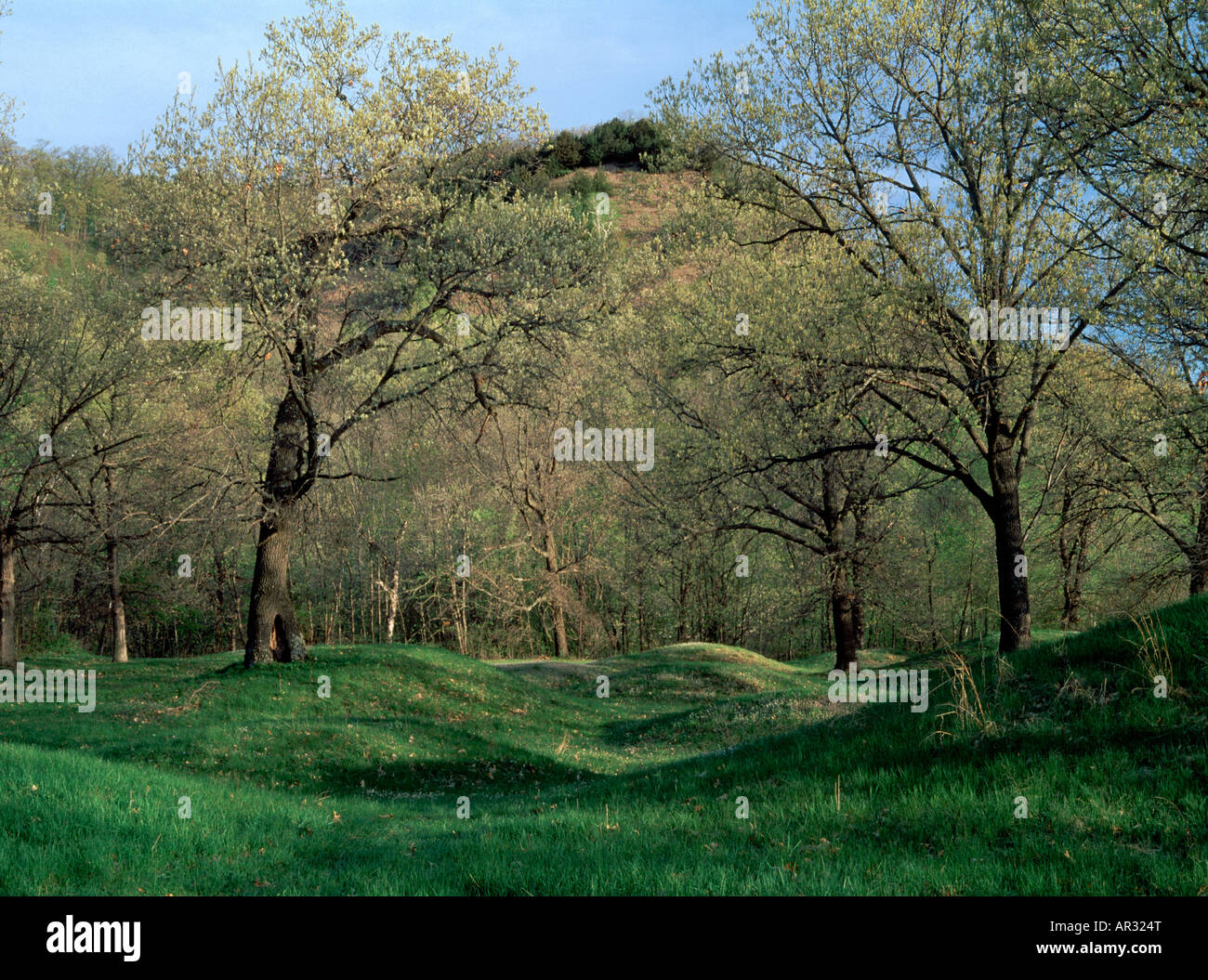ancient mounds with bluff in background, Fish Farm Mounds State