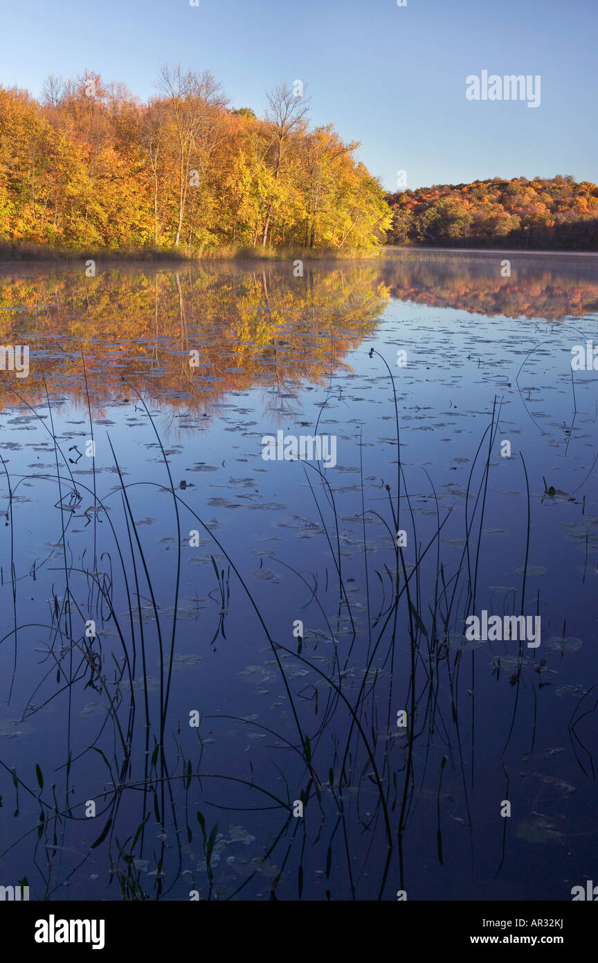 Grass Lake, Maplewood State Park, Minnesota USA Stock Photo Alamy