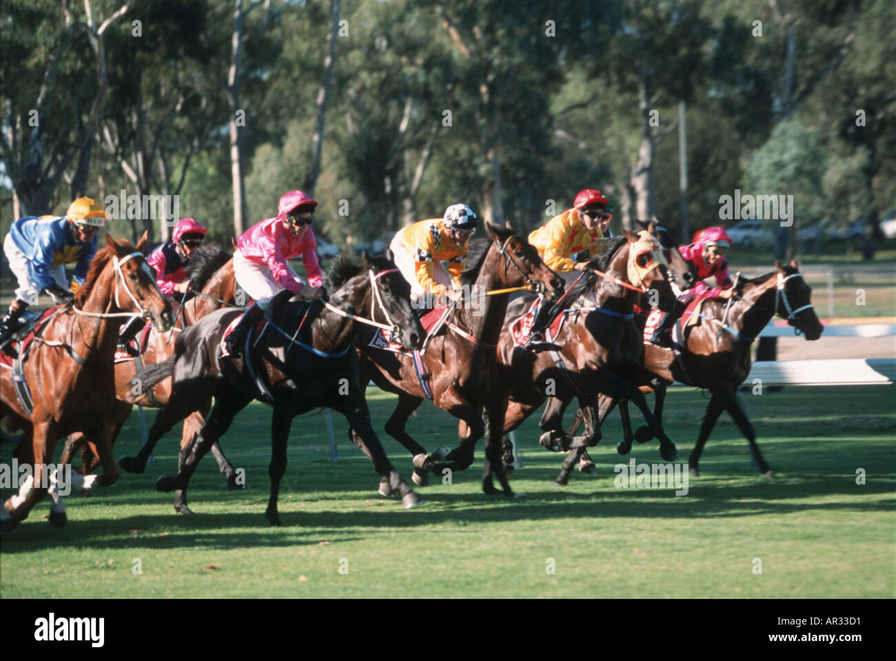 Horse racing in Adelaide Australia Stock Photo
