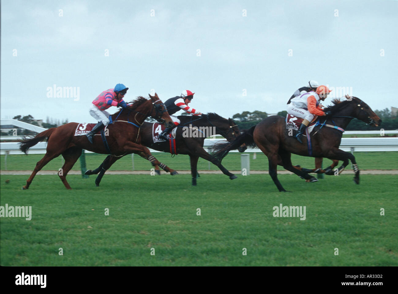 Horse racing in Adelaide Australia Stock Photo