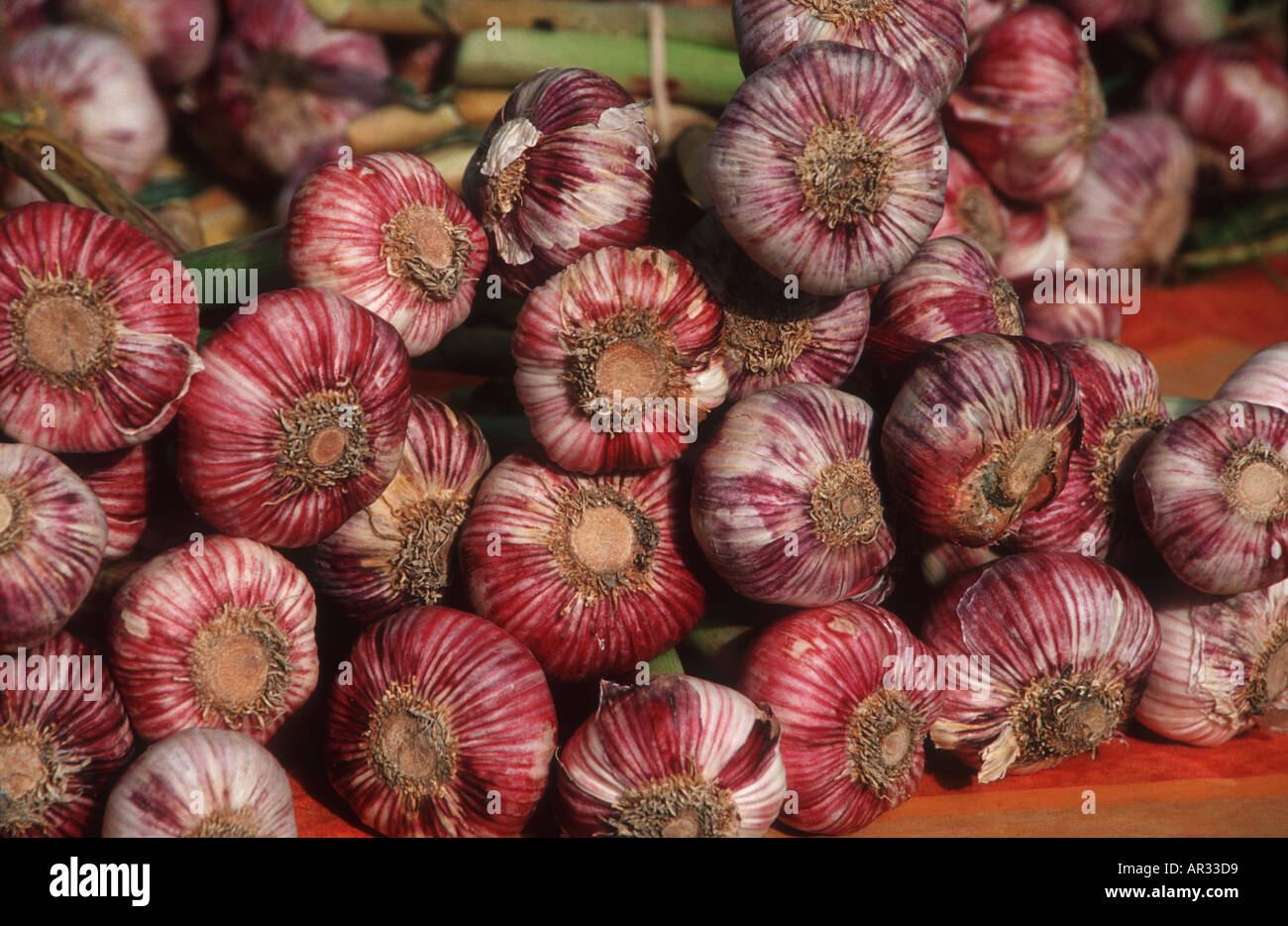 Garlic in French market Stock Photo Alamy