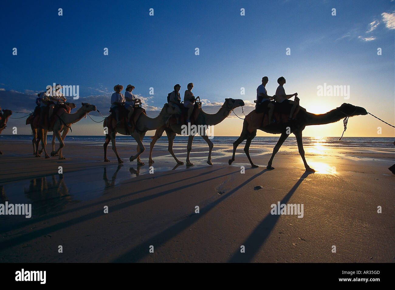 Camel ride along cable beach, Broome, Western Australia, Australia Stock Photo