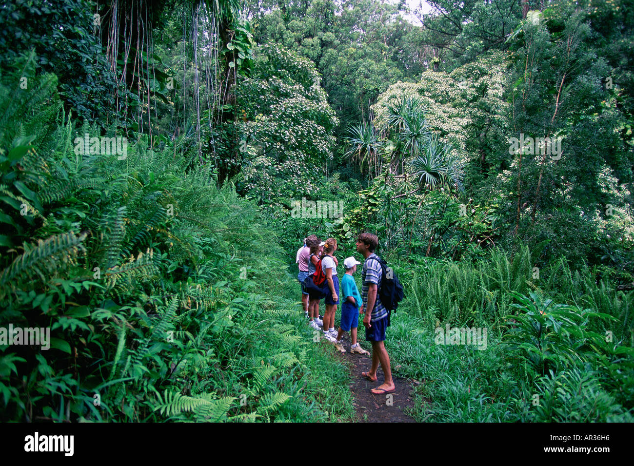 Hiking hi-res stock photography and images - Alamy