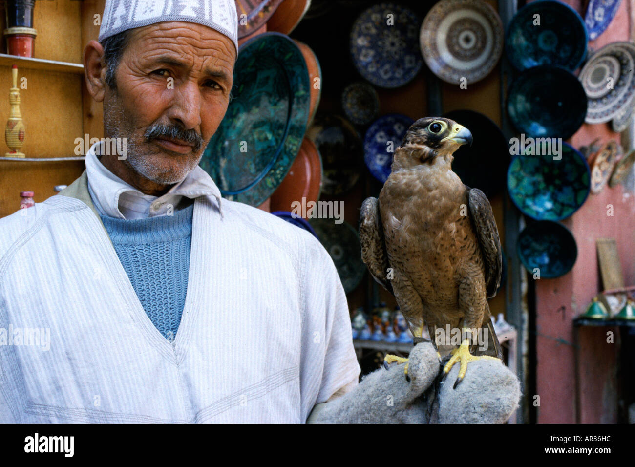 Fes, falconer in souk, Fes, Morocco North Africa Stock Photo