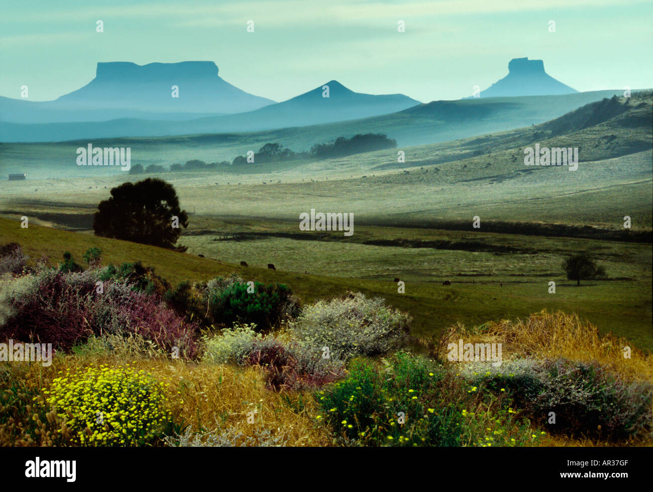 Table mountains in Kwazulu Natal, Kwazulu Natal, Southafrica Africa, South Africa, Africa Stock Photo
