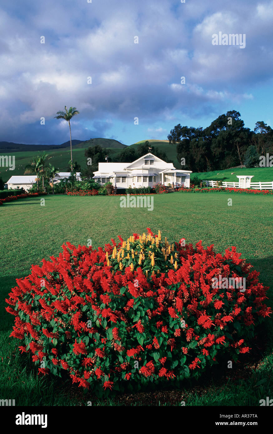 Home in Waimea kamuela Island of Hawaii Stock Photo Alamy