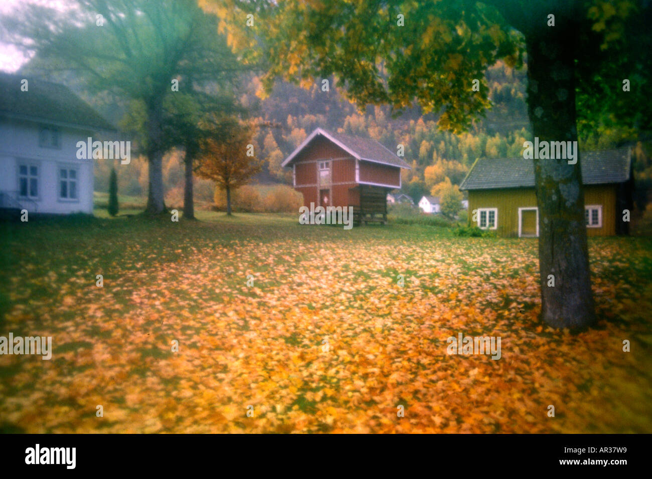 Farmhouse and storage under autumnal trees, Hemsedal, Norway, Scandinavia, Europe Stock Photo