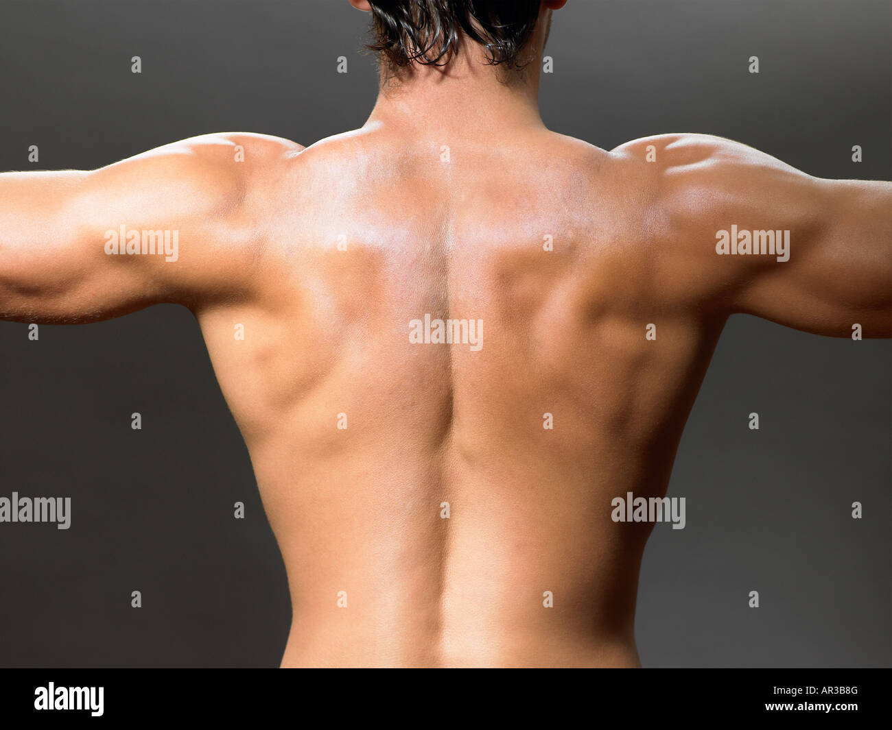 Image of Backside human pic back image-WN646273-Picxy