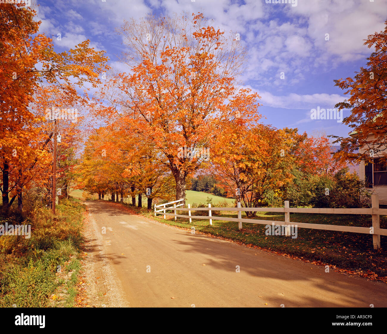 farm near village of Laurens New York USA Stock Photo Alamy