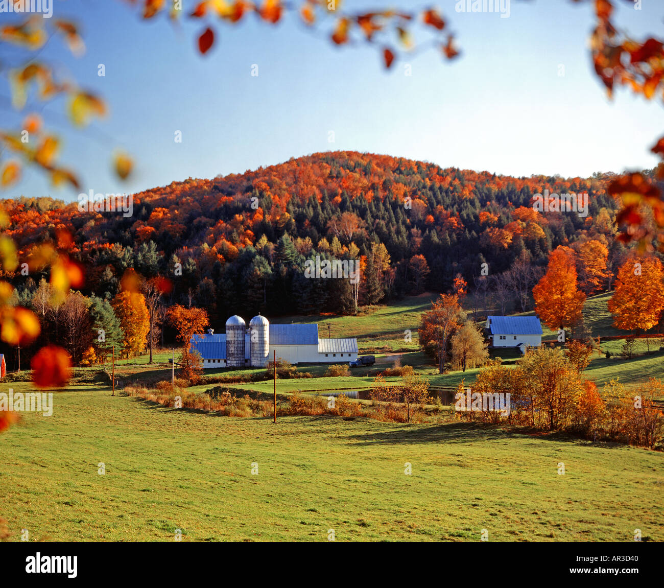 farm near village of Barre Vermont USA during fall foliage season Stock