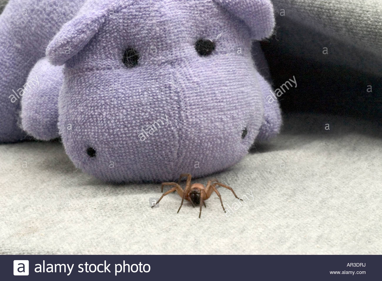 cuddly toy spider