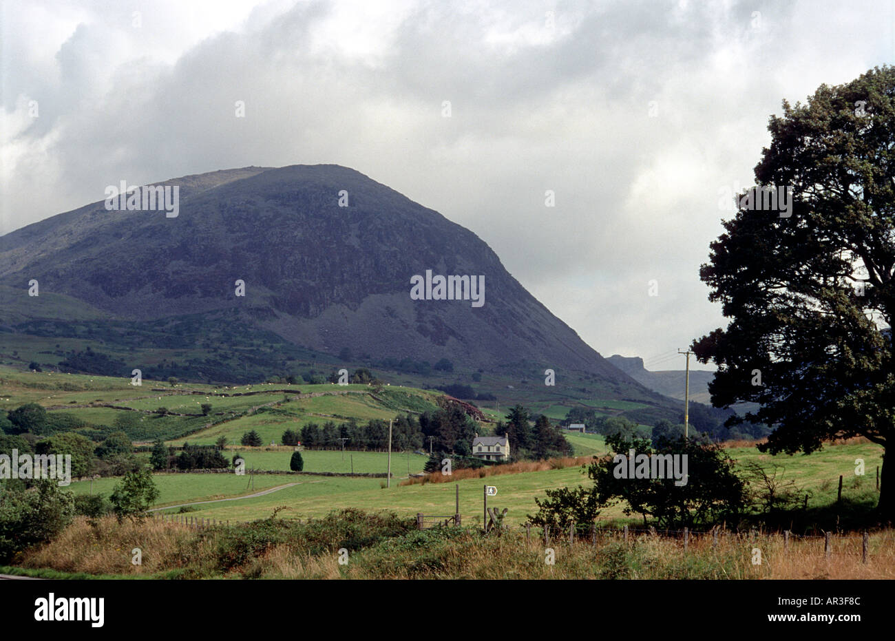 Pasture land Mountains Wales UK Stock Photo Alamy