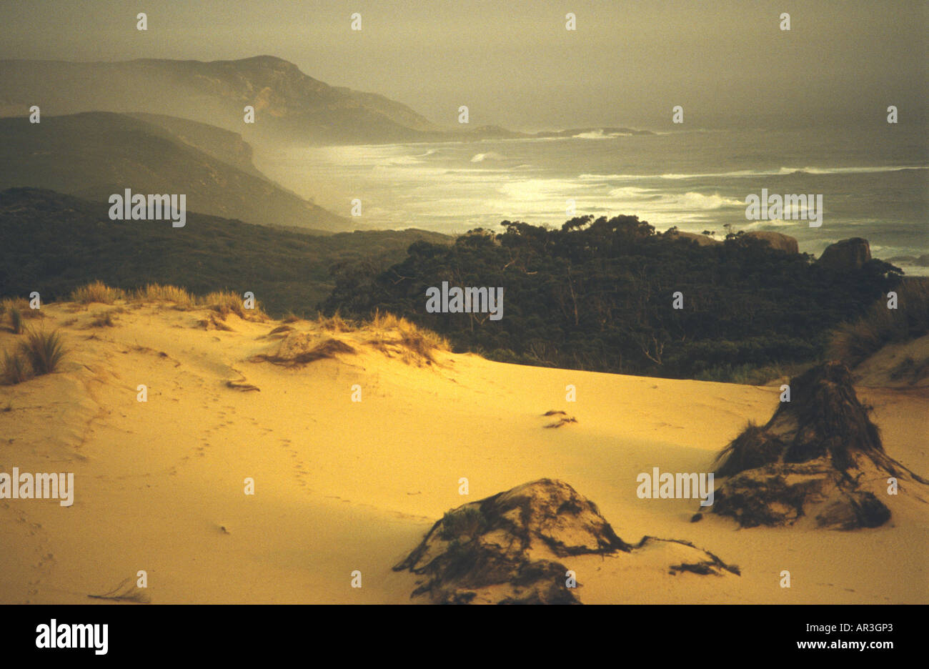 dunal landscape Stock Photo