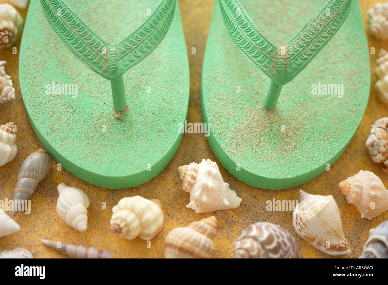 Pair of green flip flops surrounded by seashells and sand Stock Photo