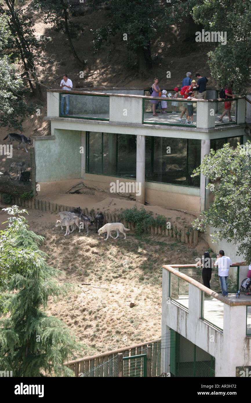 Mackenzie s Wolf enclosure St Martin La Plaine Zoo Espace Zoologique