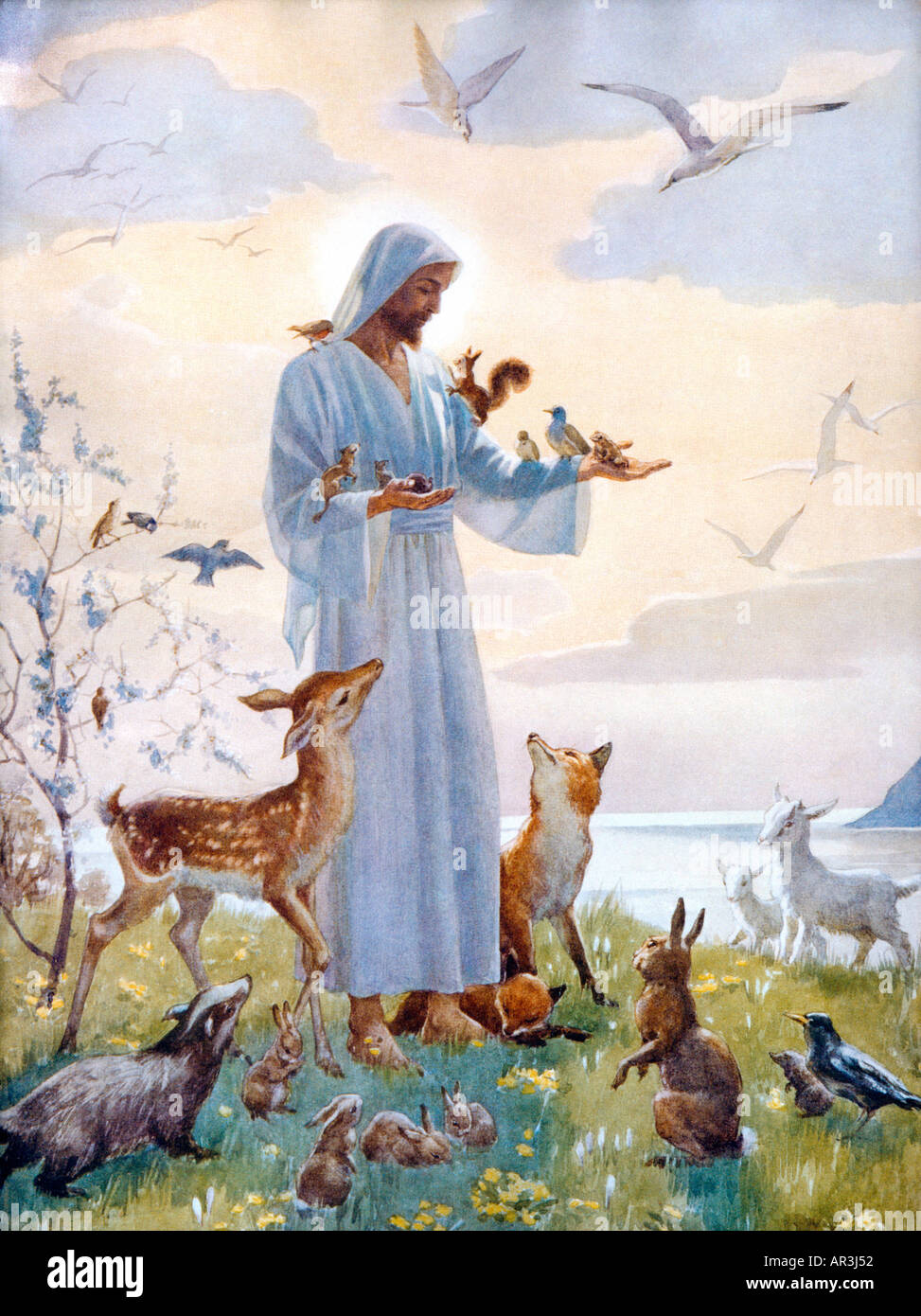 Christianity Painting Of Jesus With Animals By Margaret.w.Tarnant Stock Photo