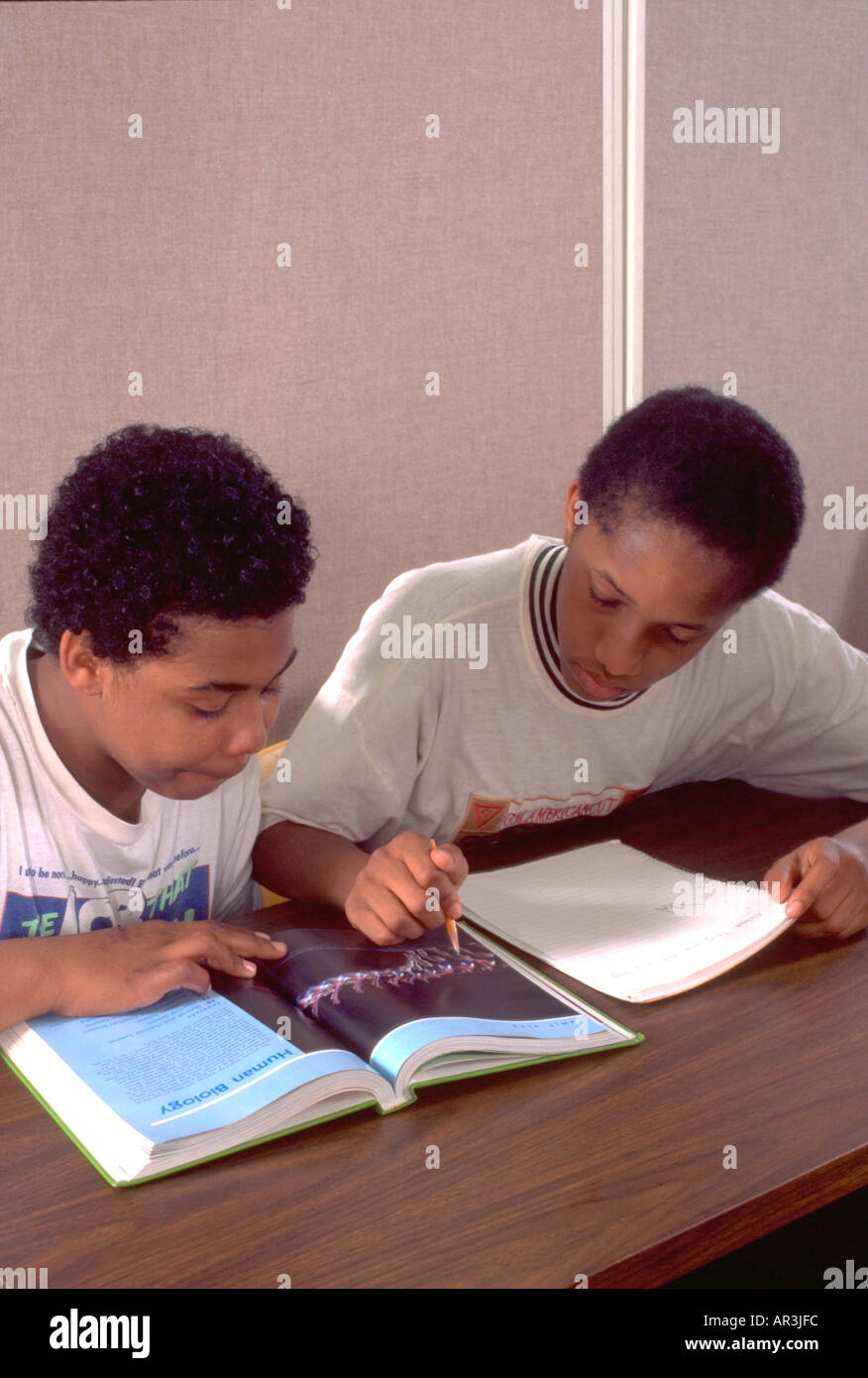 African American students age 14 studying together in after school program. St Paul Minnesota USA Stock Photo