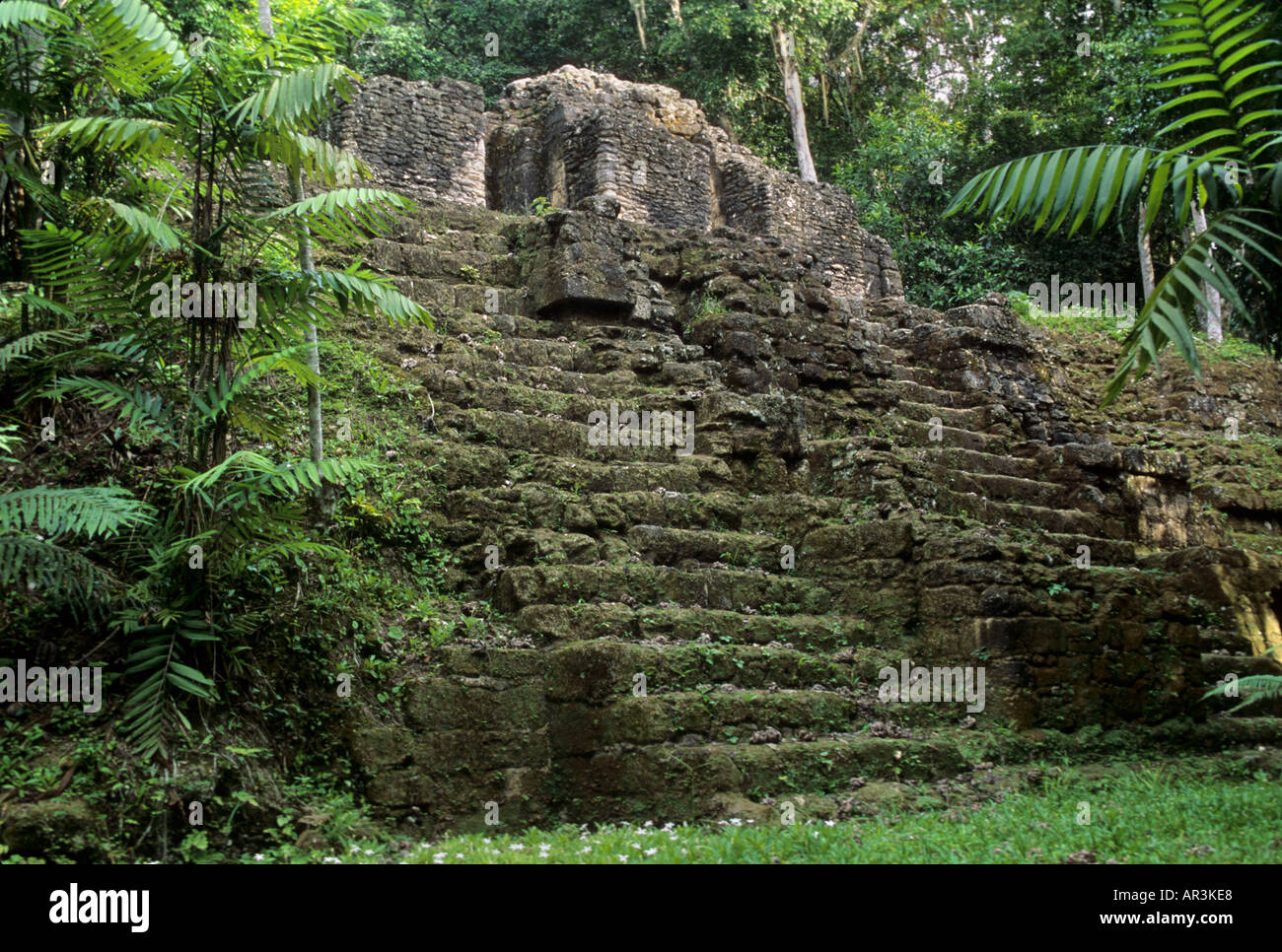 Tikal, Peten, Guatemala Stock Photo Alamy